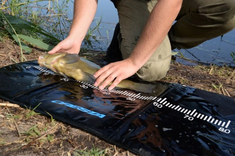 Cresta RULERMATT 5 Cresta RULERMATT - Afbeelding 3