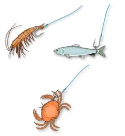 STONFO BAIT BANDS - 4 Opties 14 STONFO BAIT BANDS - 4 Opties -Visserij Benodigdheden Korting Stonfo Bait Bands 1 min