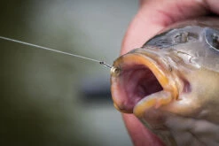 Matrix MXC-6 MEDIUM EYED BARBLESS -4 Opties 19 Matrix MXC-6 MEDIUM EYED BARBLESS -4 Opties -Visserij Benodigdheden Korting mxc 6 in use 12